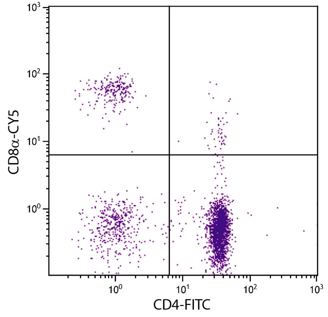 Chicken peripheral blood mononuclear cells were stained with Mouse Anti-Chicken CD8?-CY5 (Cat. No. 99-324) and Mouse Anti-Chicken CD4-FITC .