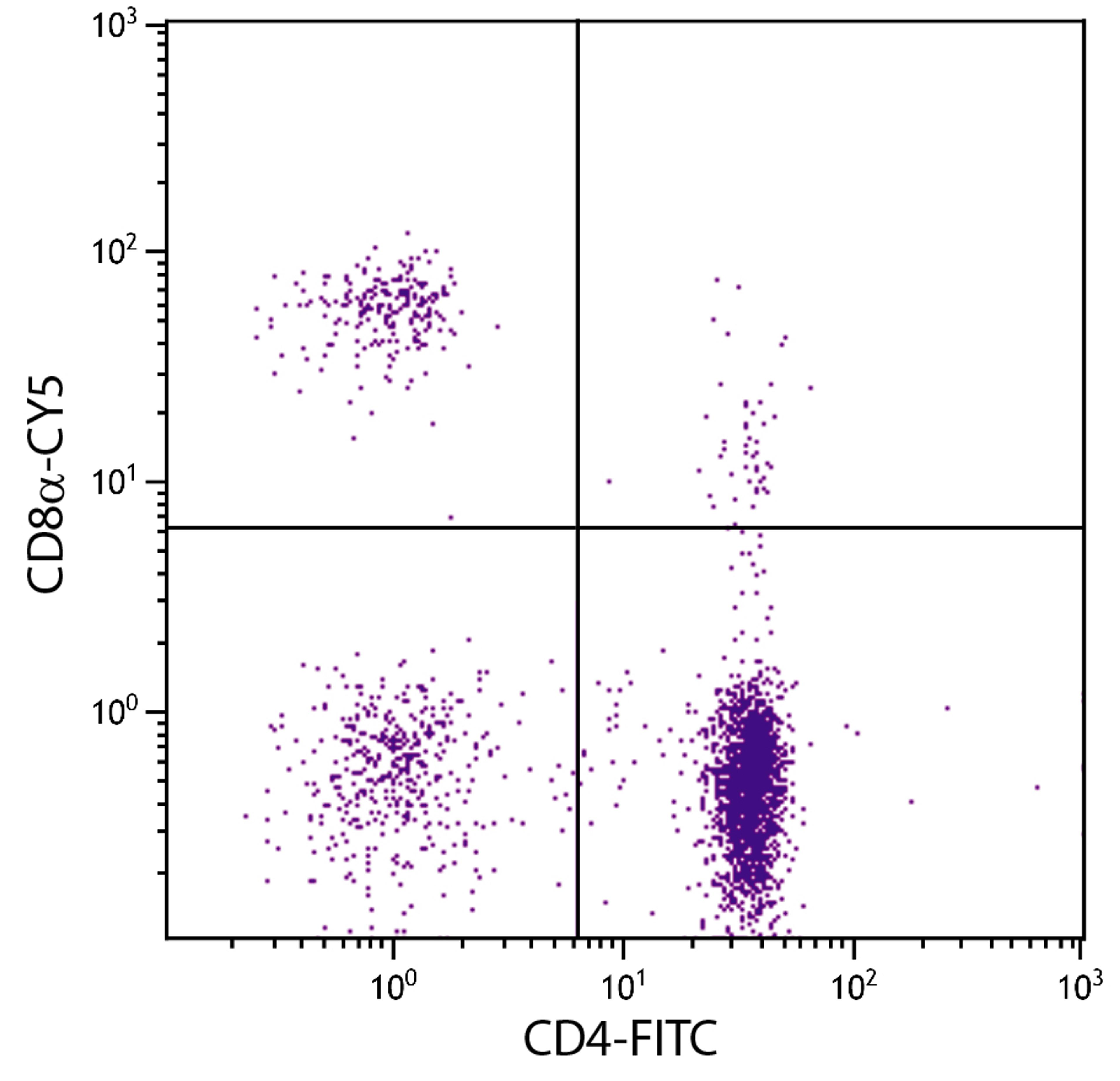 Chicken peripheral blood mononuclear cells were stained with Mouse Anti-Chicken CD8?-CY5 (Cat. No. 99-324) and Mouse Anti-Chicken CD4-FITC .