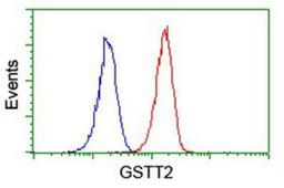 Flow Cytometry: GSTT2 Antibody (3B6) [NBP2-03126] - Analysis of Jurkat cells, using anti-GSTT2 antibody, (Red), compared to a nonspecific negative control antibody (Blue).