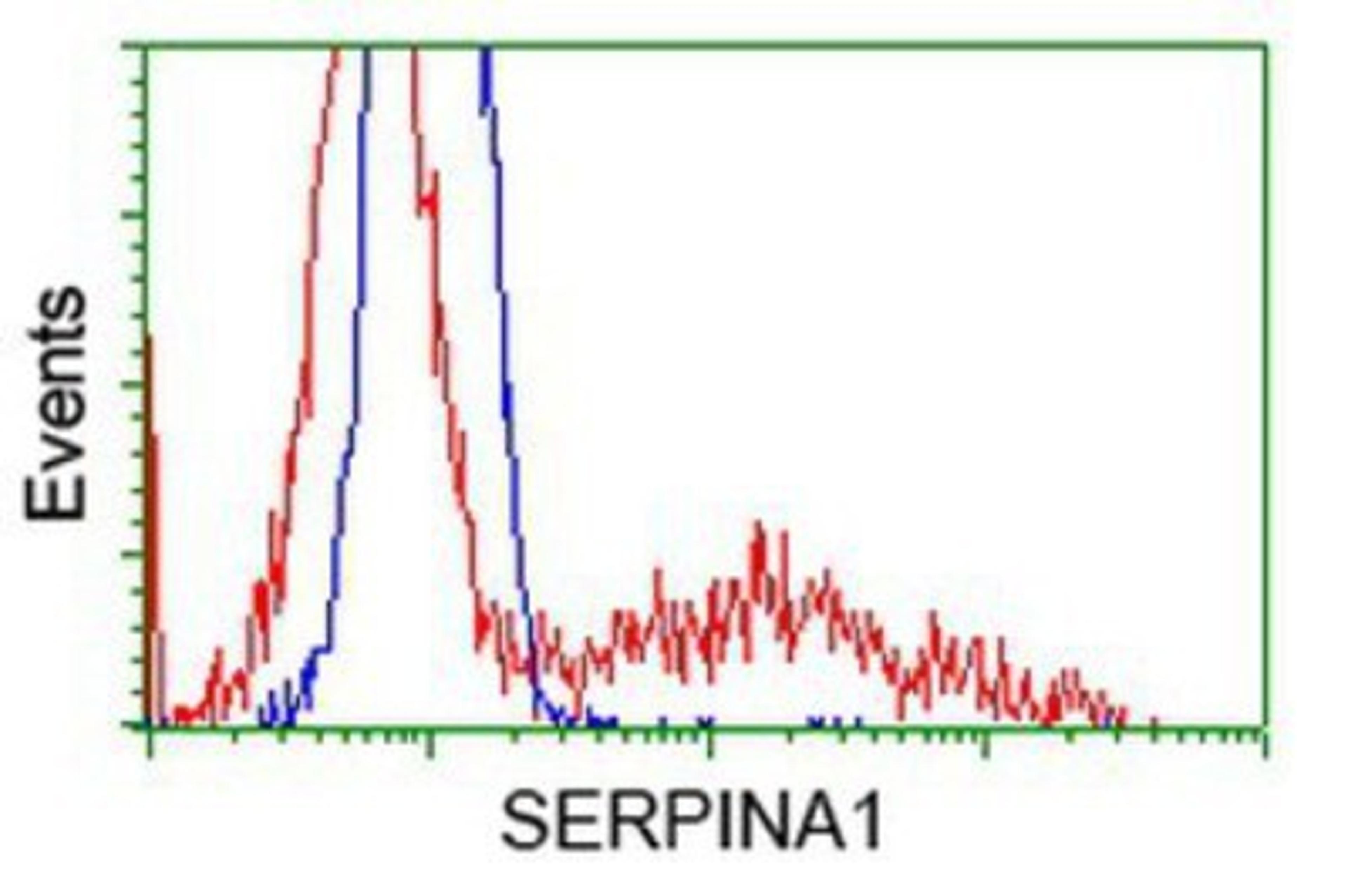 Flow Cytometry: alpha 1 Antitrypsin Antibody (9A1) [NBP1-47957] - HEK293T cells transfected with either overexpression plasmid (Red) or empty vector control plasmid (Blue) were immunostained by anti-alpha 1 Antitrypsin antibody, and then analyzed by flow cytometry.