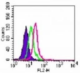 Flow (Intracellular): TLR6 Antibody (86B1153.2) [NB100-56536] - Analysis using the PE conjugate of NB100-56536. Staining of TLR6 in Ramos cells using this antibody. 5 ug/10^6 cells. Shaded histogram represents Ramos cells without antibody; green represents isotype control (BD Pharmingen); red represents this antibody.