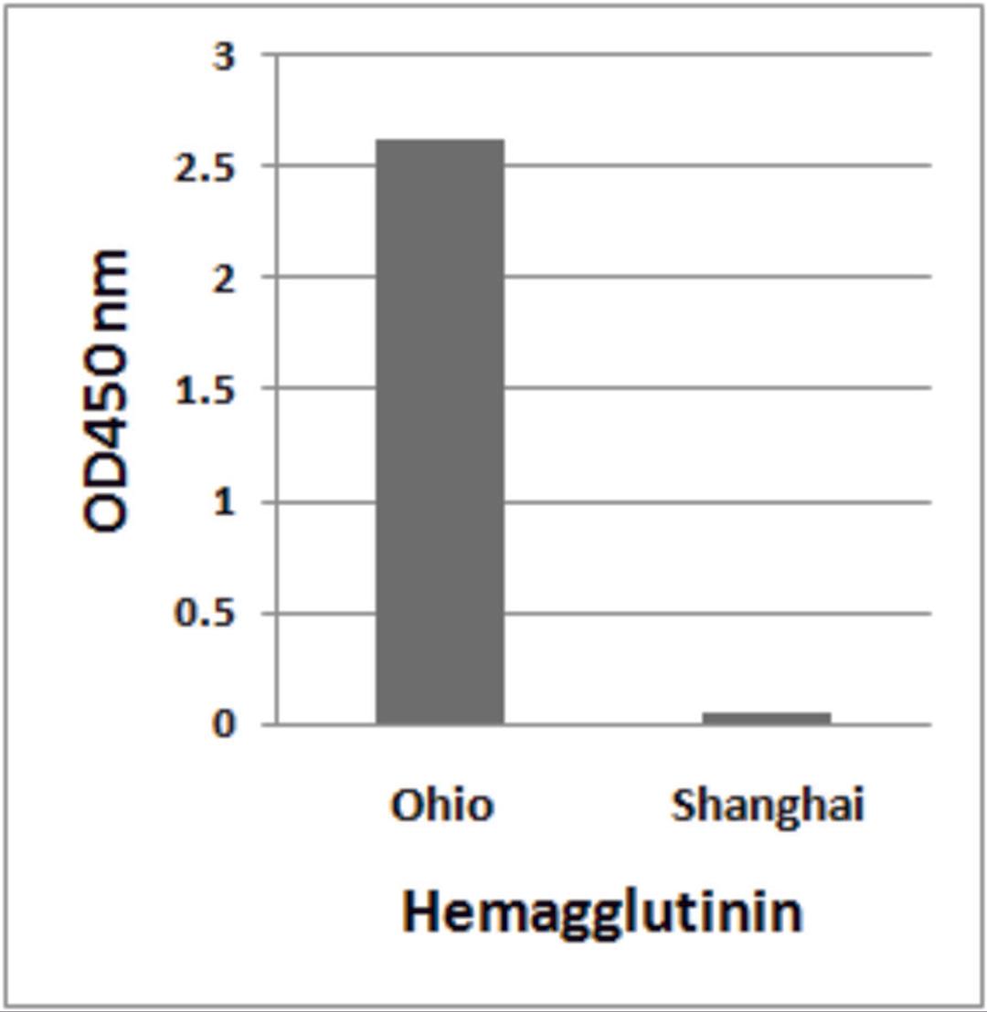 H7N9 Hemagglutinin antibody (Cat. No. 7821 at 1μg/ml) detects 10 ng of Influenza A virus (A/blue-winged teal/Ohio/566/2006(H7N9)) hemagglutinin peptide, and not 10 ng of Influenza A virus (A/Shanghai/02/2013(H7N9)) hemagglutinin peptide in ELISA.