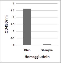 H7N9 Hemagglutinin antibody (Cat. No. 7821 at 1μg/ml) detects 10 ng of Influenza A virus (A/blue-winged teal/Ohio/566/2006(H7N9)) hemagglutinin peptide, and not 10 ng of Influenza A virus (A/Shanghai/02/2013(H7N9)) hemagglutinin peptide in ELISA.