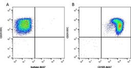 Figure A. Mouse anti Human CD31. Figure B. Mouse anti Human CD31 and Mouse anti Human CD105.