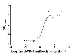 The Binding Activity of PD-1 with anti-PD-1 antibody. Activity: Measured by its binding ability in a functional ELISA. Immobilized Human PD-1(CSB-MP619964HU1) at 2 μg/mL can bind Anti-PD-1 recombinant antibody, the EC<sub>50</sub> is 1.960-3.961 ng/mL.