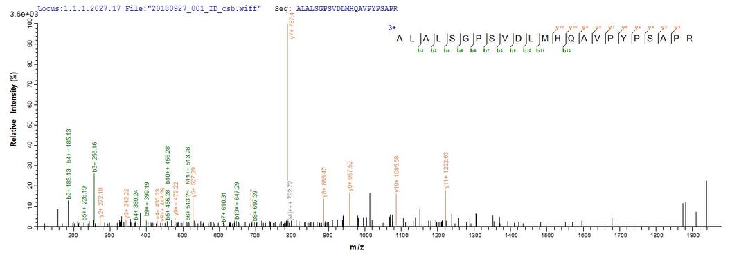 Based on the SEQUEST from database of E.coli host and target protein, the LC-MS/MS Analysis result of CSB-EP006004HU could indicate that this peptide derived from E.coli-expressed Homo sapiens (Human) CRX.
