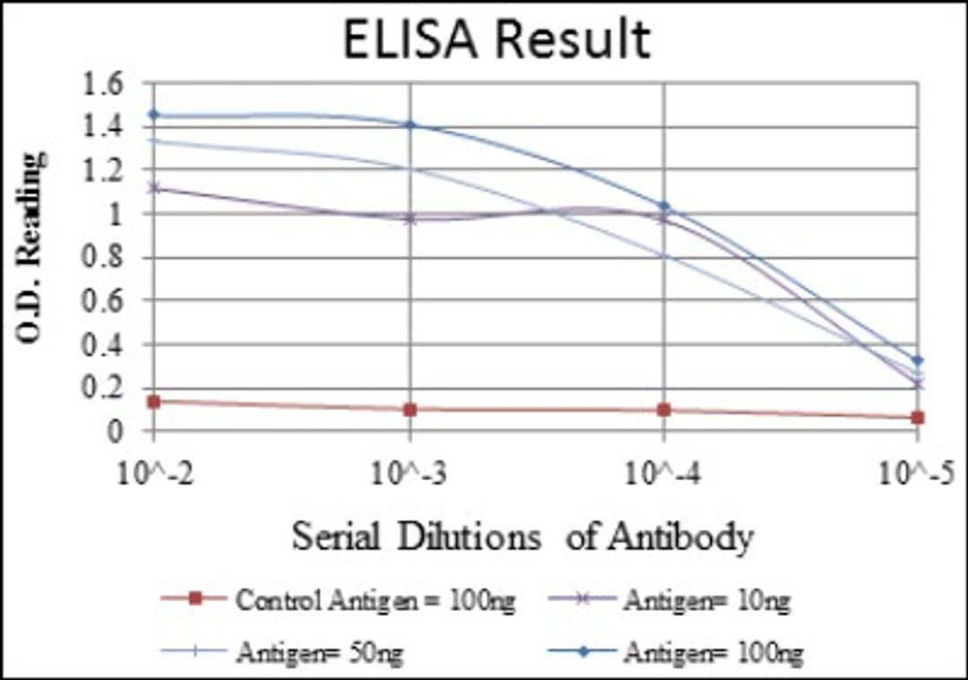 ELISA: Cytokeratin 19 Antibody (4E8) [NBP2-22116] - Red: Control Antigen (100ng); Purple: Antigen (10ng); Green: Antigen (50ng); Blue: Antigen (100ng).