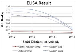 ELISA: Cytokeratin 19 Antibody (4E8) [NBP2-22116] - Red: Control Antigen (100ng); Purple: Antigen (10ng); Green: Antigen (50ng); Blue: Antigen (100ng).