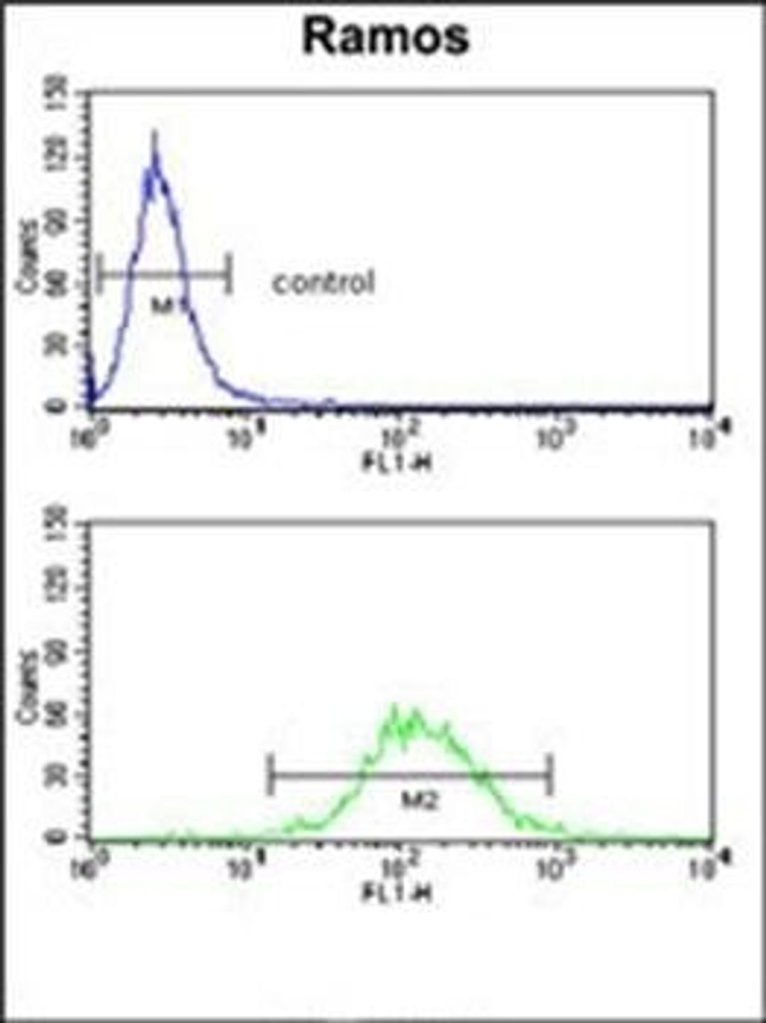 Flow cytometric analysis of Ramos cells using HLA-DRA antibody (primary antibody dilution at: 1:10-50)