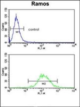 Flow cytometric analysis of Ramos cells using HLA-DRA antibody (primary antibody dilution at: 1:10-50)