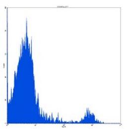 Flow cytometric analysis of human peripheral blood lymphocytes using CD16 antibody (PE)