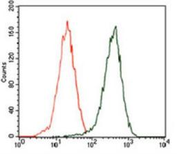 Flow Cytometry: p62/SQSTM1 Antibody (5H7E2) [NBP2-23490] - Flow cytometry analysis of HEK293 cells using SQSTM1 mouse mAb (green) and negative control (red).