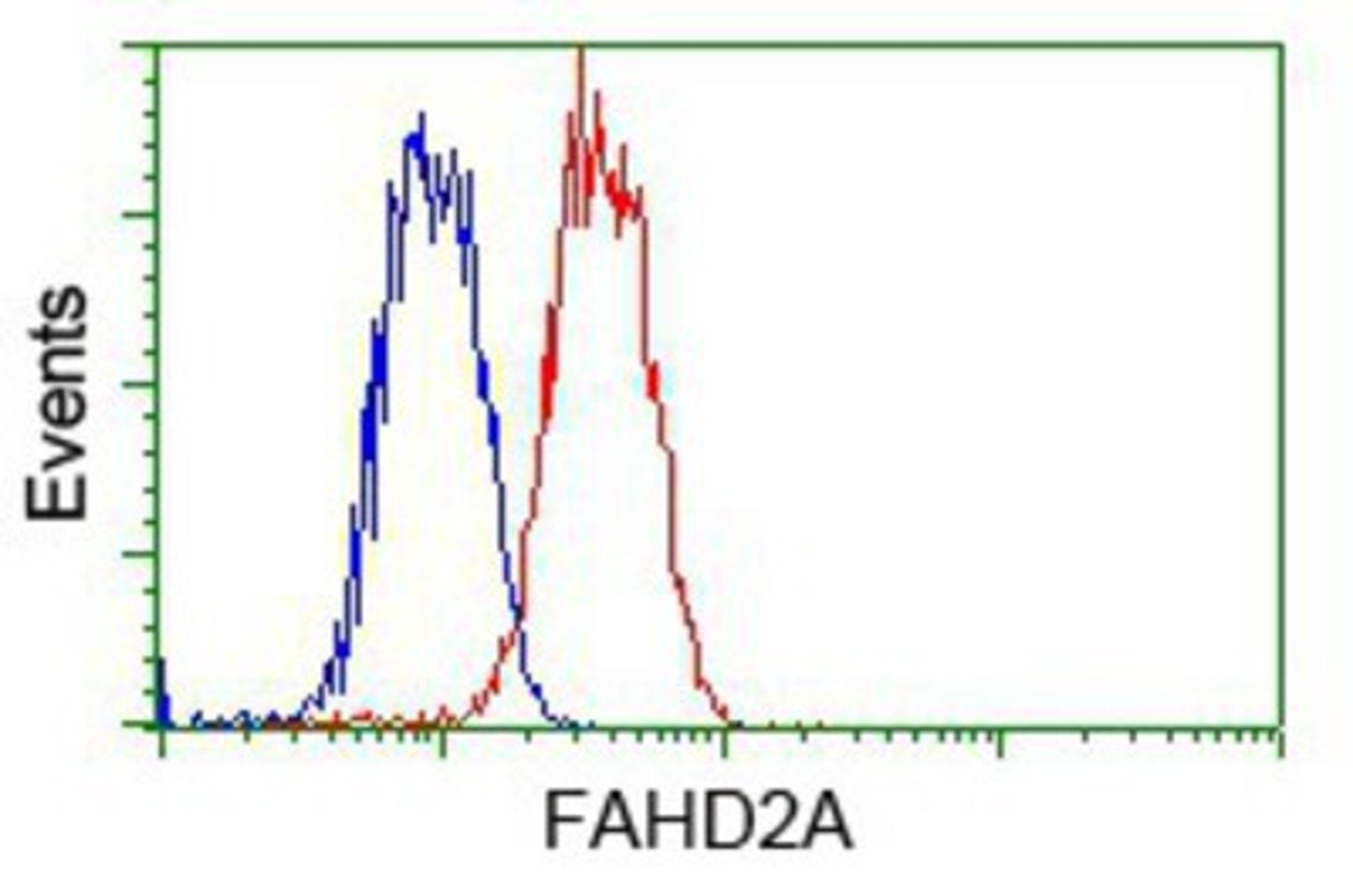 Flow Cytometry: FAHD2A Antibody (6D9) [NBP2-02331] - Analysis of Jurkat cells, using anti-FAHD2A antibody, (Red) compared to a nonspecific negative control antibody (Blue).