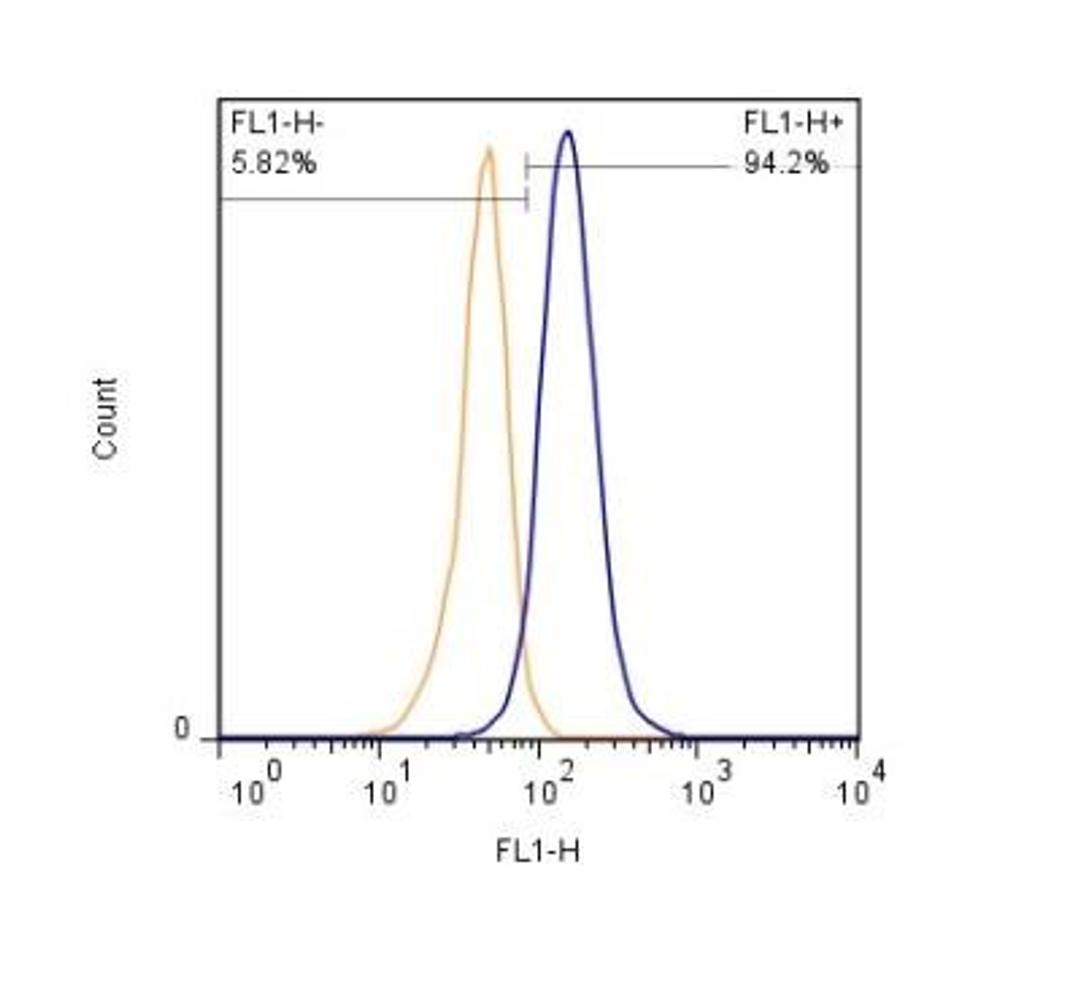 Flow Cytometry: S100B Antibody (15F9NB) [NBP2-45267] - Analysis using the Azide Free version of NBP2-45267. Staining of A431 cells (1 x 10^6 cells/ml) with S100B antibody, clone 15F4.1D2 (orange) stained at a dilution of 1:500. Detected with a GtxRb Dylight 488 secondary. Shown with the secondary control (blue).