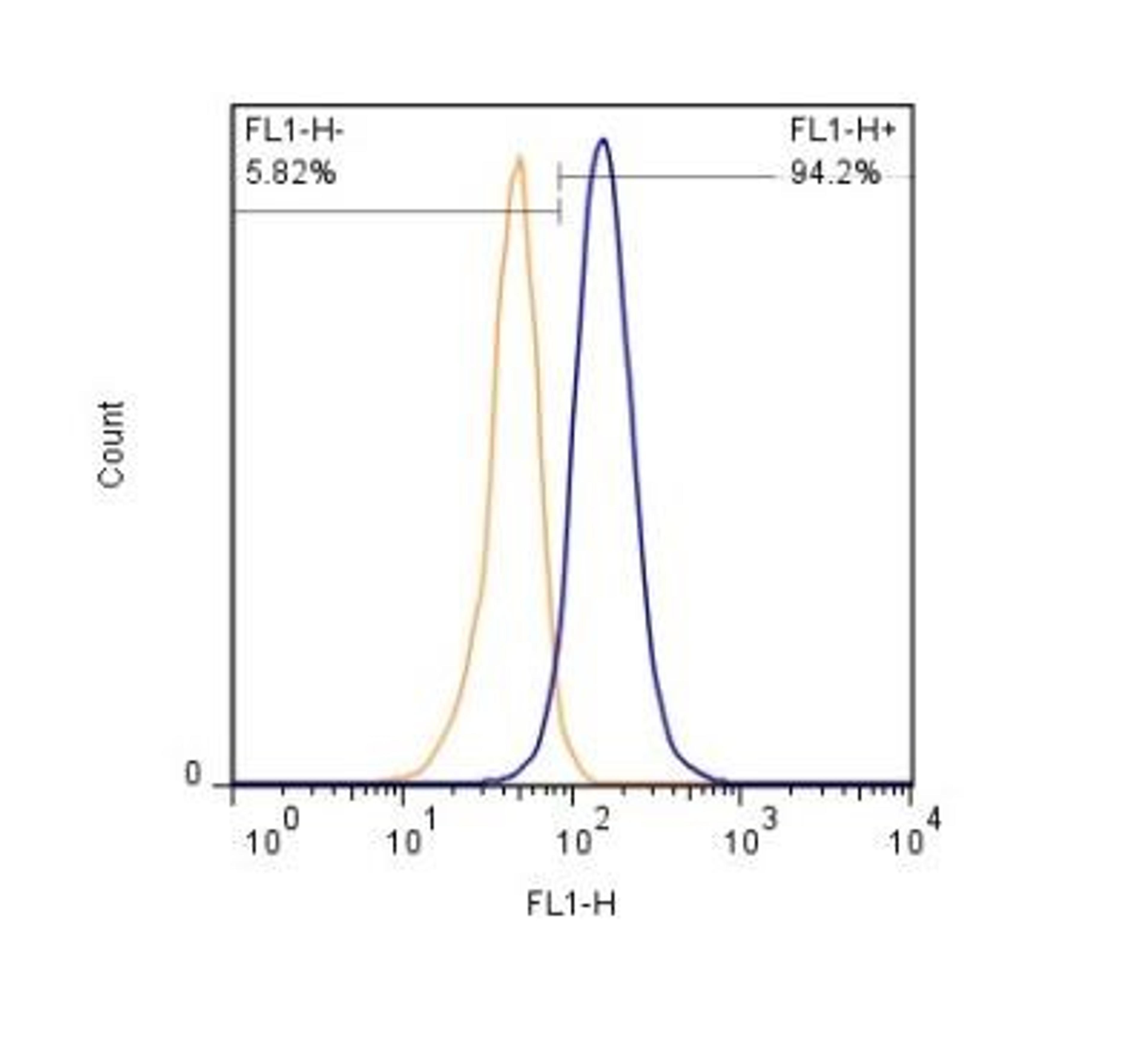 Flow Cytometry: S100B Antibody (15F9NB) [NBP2-45267] - Analysis using the Azide Free version of NBP2-45267. Staining of A431 cells (1 x 10^6 cells/ml) with S100B antibody, clone 15F4.1D2 (orange) stained at a dilution of 1:500. Detected with a GtxRb Dylight 488 secondary. Shown with the secondary control (blue).