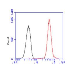 Flow Cytometry: IRF5 Antibody (10T1) [NBP1-04307] - Flow cytometry analysis of IRF5 in THP-1 cell line, staining at 2-5ug for 1x106cells (red line). The secondary antibody used goat anti-mouse IgG Alexa fluor 488 conjugate. Isotype control antibody was mouse IgG (black line).