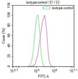 Overlay Peak curve showing HepG2 cells stained with CSB-RA993143A0HU (red line) at 1:100. The cells were fixed in 4% formaldehyde and permeated by 0.2% TritonX-100. Then 10% normal goat serum to block non-specific protein-protein interactions followed by the antibody (1ug/1*10<sup>6</sup>cells) for 45min at 4℃. The secondary antibody used was FITC-conjugated Goat Anti-rabbit IgG(H+L) at 1:200 dilution for 35min at 4℃.Control antibody (green line) was rabbit IgG (1ug/1*10<sup>6</sup>cells) used under the same conditions. Acquisition of >10,000 events was performed.