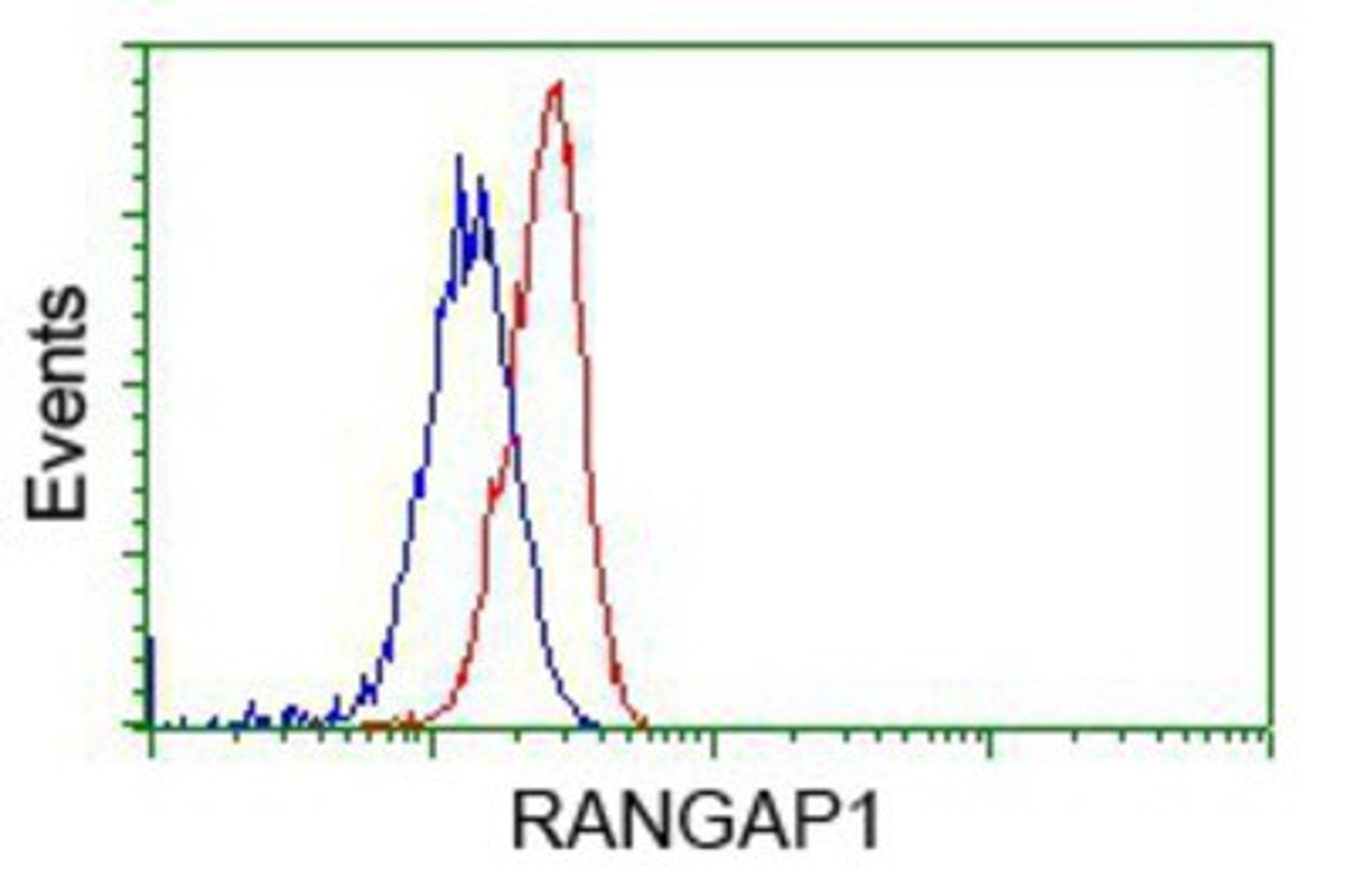 Flow Cytometry: RanGAP1 Antibody (1B4) [NBP2-02623] - Analysis of Hela cells, using anti-RanGAP1 antibody, (Red), compared to a nonspecific negative control antibody (Blue).