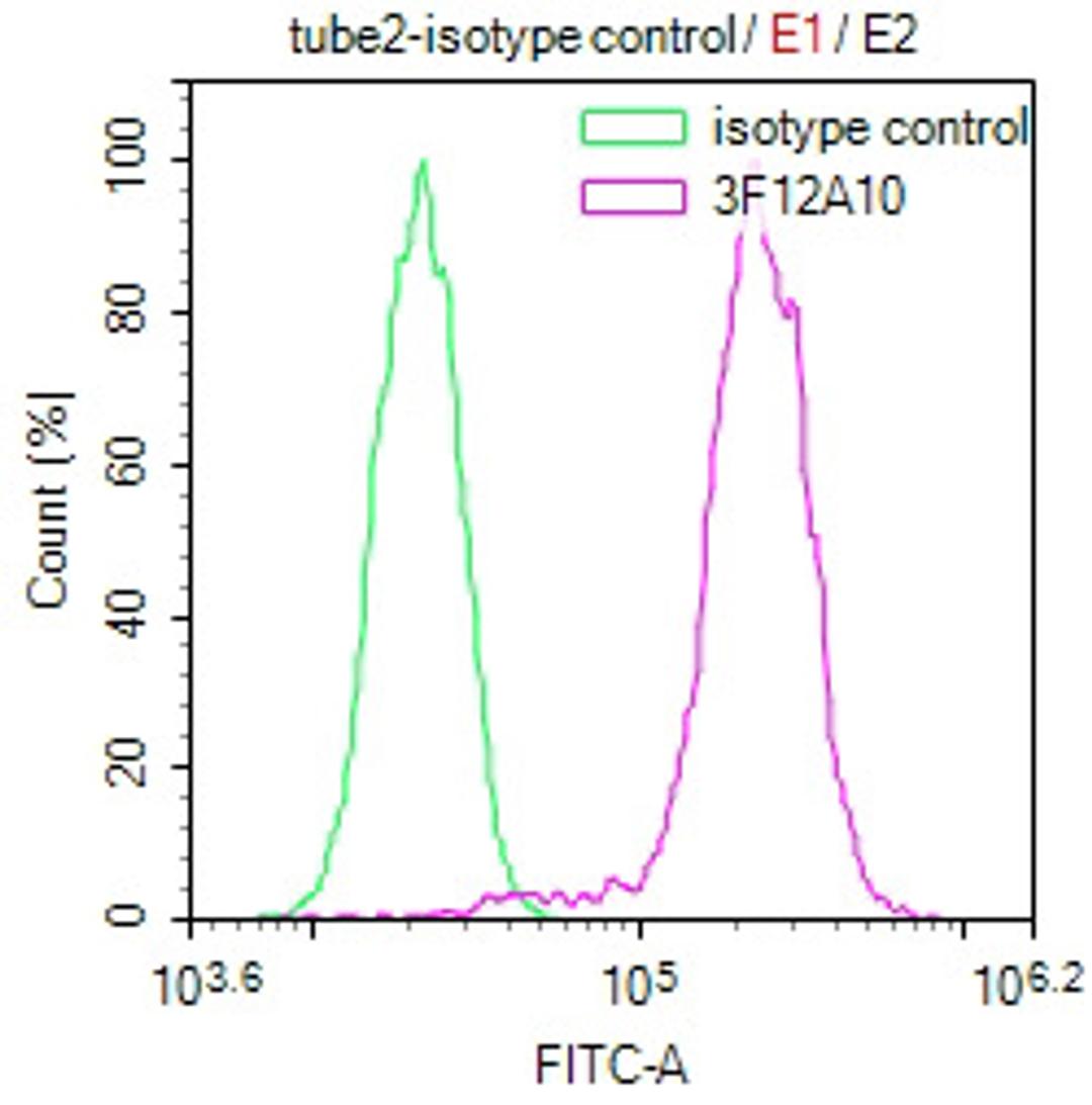 Overlay Peak curve showing Hela cells stained with CSB-MA010418PA28ph02HU (red line) at 1:100. The cells were incubated in 10% normal goat serum to block non-specific protein-protein interactions followed by the antibody (1µg/1*106cells) for 1h at 4°C. The secondary antibody used was FITC-conjugated Goat Anti-Mouse IgG(H+L) at 1/100 dilution for 30min at 4°C. Isotype control antibody (green line) was mouse IgG1 (1µg/1*106cells) used under the same conditions. Acquisition of >10,000 events was performed.