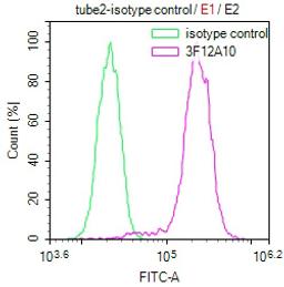 Overlay Peak curve showing Hela cells stained with CSB-MA010418PA28ph02HU (red line) at 1:100. The cells were incubated in 10% normal goat serum to block non-specific protein-protein interactions followed by the antibody (1µg/1*106cells) for 1h at 4°C. The secondary antibody used was FITC-conjugated Goat Anti-Mouse IgG(H+L) at 1/100 dilution for 30min at 4°C. Isotype control antibody (green line) was mouse IgG1 (1µg/1*106cells) used under the same conditions. Acquisition of >10,000 events was performed.