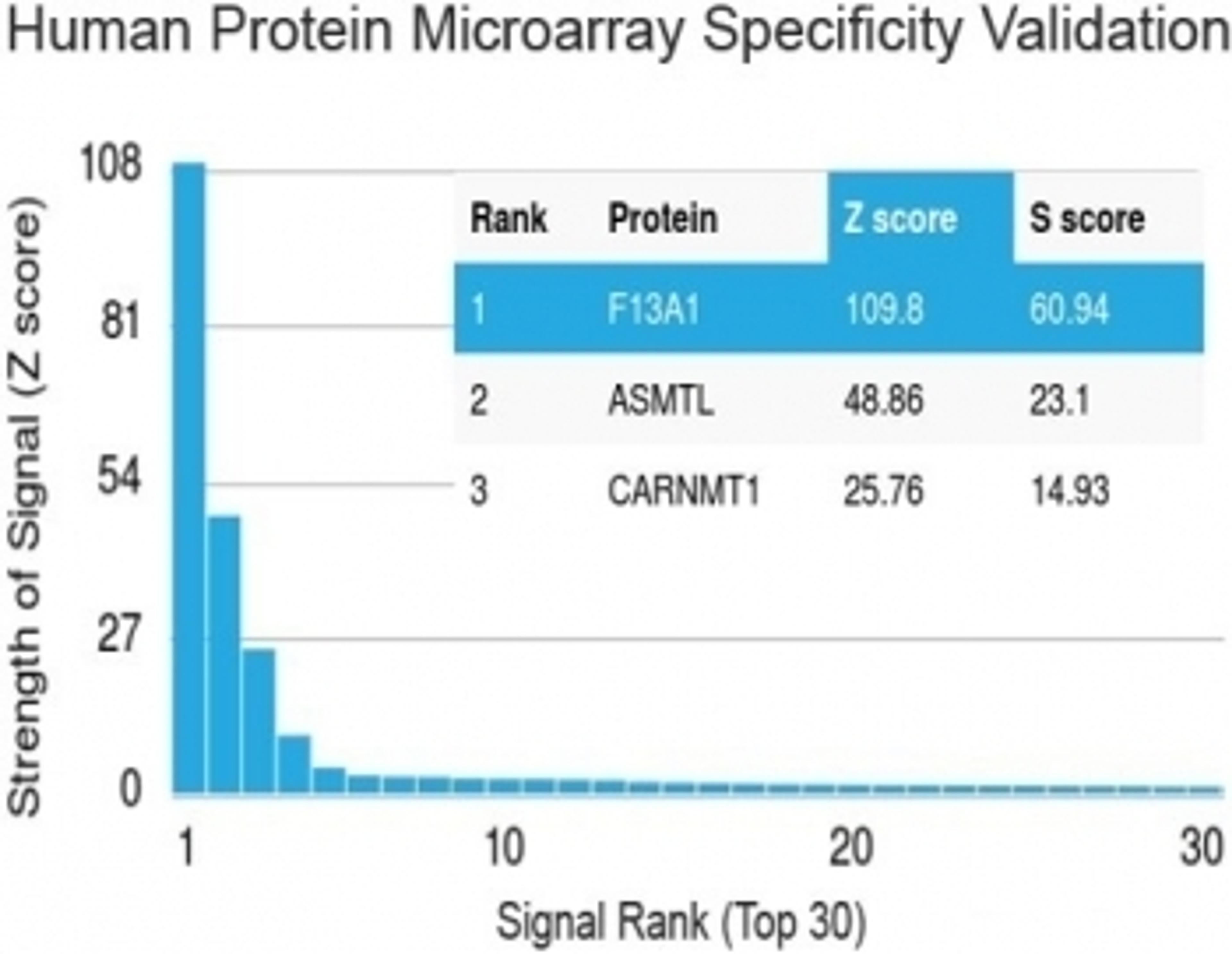 Analysis of HuProt(TM) microarray containing more than 19,000 full-length human proteins using Factor XIIIa antibody (clone F13A1/1683).  Z- and S- score: The Z-score represents the strength of a signal that an antibody (in combination with a fluorescentl