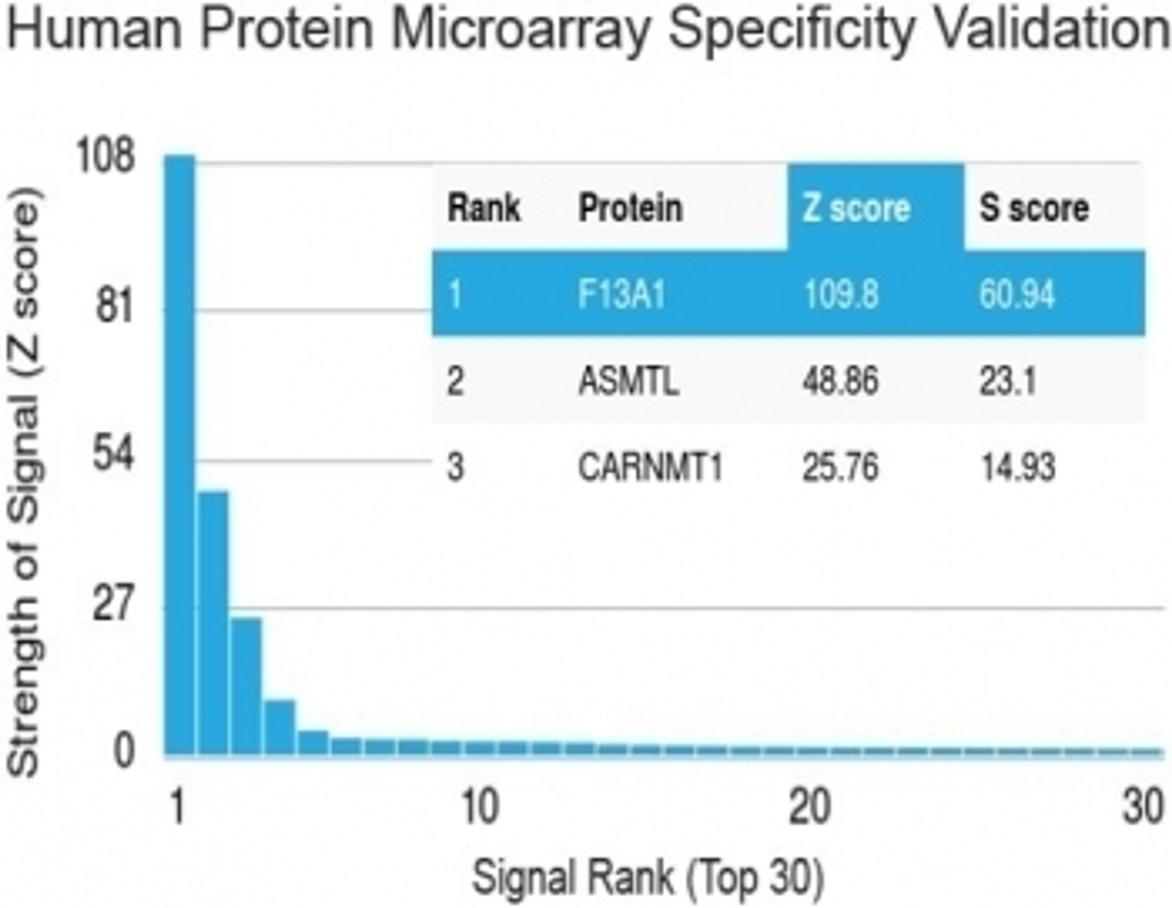 Analysis of HuProt(TM) microarray containing more than 19,000 full-length human proteins using Factor XIIIa antibody (clone F13A1/1683). Z- and S- score: The Z-score represents the strength of a signal that an antibody (in combination with a fluorescentl