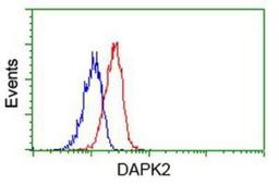 Flow Cytometry: DAP Kinase 2 Antibody (1C5) [NBP2-02477] - Analysis of Jurkat cells, using anti-DAP Kinase 2 antibody, (Red), compared to a nonspecific negative control antibody (Blue).