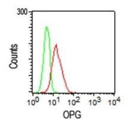 Flow Cytometry: Osteoprotegerin Antibody (98A1071) [NB100-56505] -  Intracellular staining of 10^6 HeLa cells using 0.2 ug of OPG antibody, 0.5 ul of PE secondary