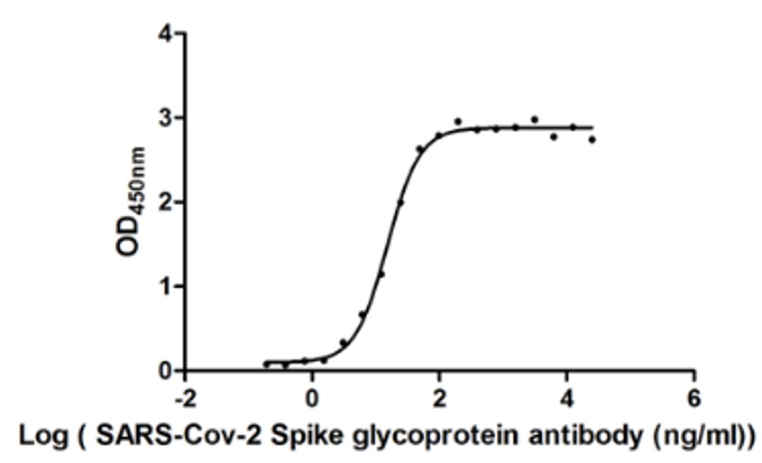 &nbsp;The Binding Activity of SARS-CoV-2-S Antibody with SARS-CoV-2-S1-RBD. Activity: Measured by its binding ability in a functional ELISA. Immobilized SARS-CoV-2-S1-RBD (<a href='https://www.cusabio.com/Recombinant-Protein/Recombinant-Human-Novel-Coronavirus-Spike-glycoprotein-S---partial--12928577.html'>CSB-MP3324GMY1b1</a>) at 2 &mu;g/ml can bind SARS-CoV-2-S Antibody, the EC<sub>50</sub> is 15.29 ng/ml.