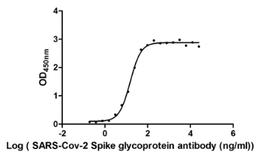 &nbsp;The Binding Activity of SARS-CoV-2-S Antibody with SARS-CoV-2-S1-RBD. Activity: Measured by its binding ability in a functional ELISA. Immobilized SARS-CoV-2-S1-RBD (<a href='https://www.cusabio.com/Recombinant-Protein/Recombinant-Human-Novel-Coronavirus-Spike-glycoprotein-S---partial--12928577.html'>CSB-MP3324GMY1b1</a>) at 2 &mu;g/ml can bind SARS-CoV-2-S Antibody, the EC<sub>50</sub> is 15.29 ng/ml.