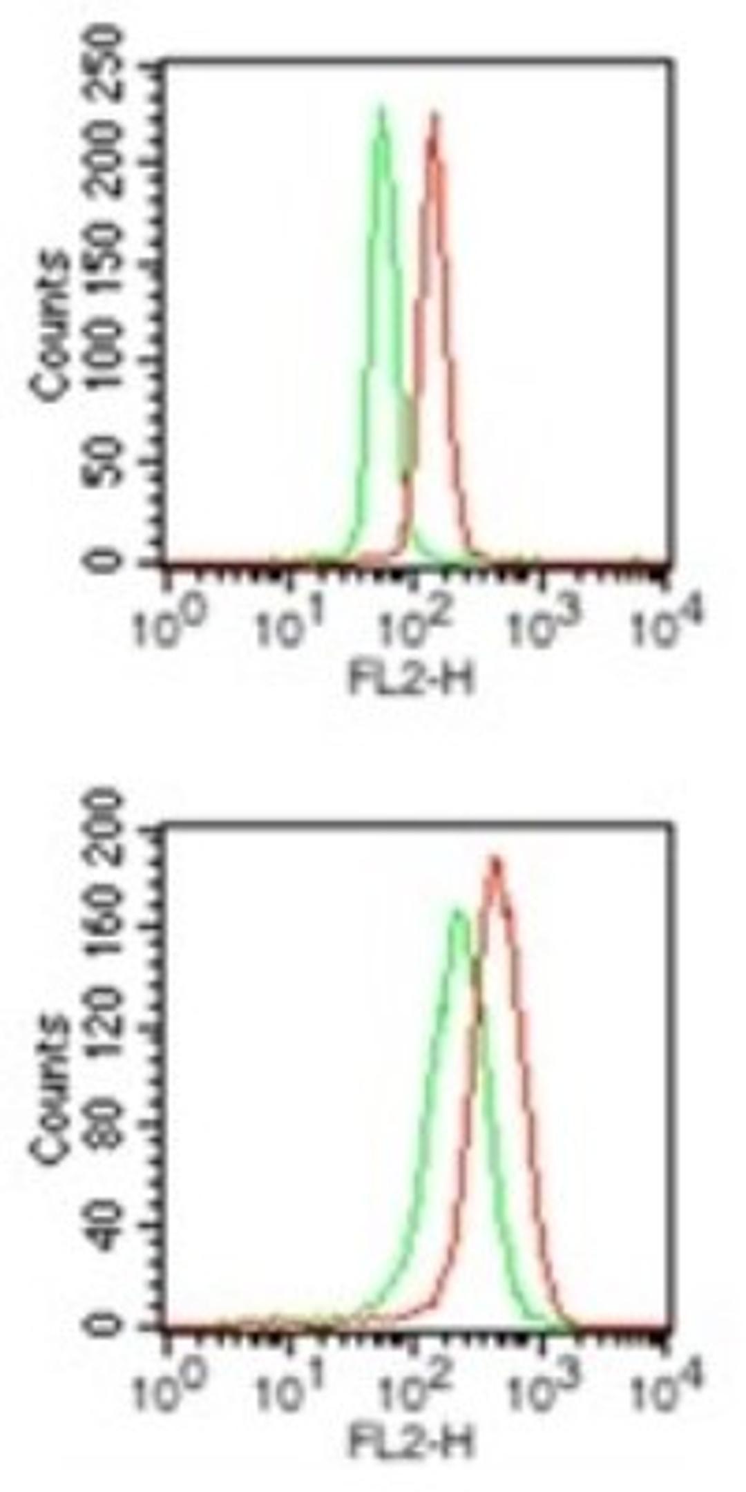 Flow Cytometry: PU.1/Spi1 Antibody [NBP2-27163] - Intracellular analysis of PU.1 in mouse RAW cells (top) and PMA treated (20 ng/ml, overnight) human ThP1 cells (bottom) using 1.25 ug/10^6 cells. Green peak represents isotype control this antibody ; red represents anti-PU.1 antibody.