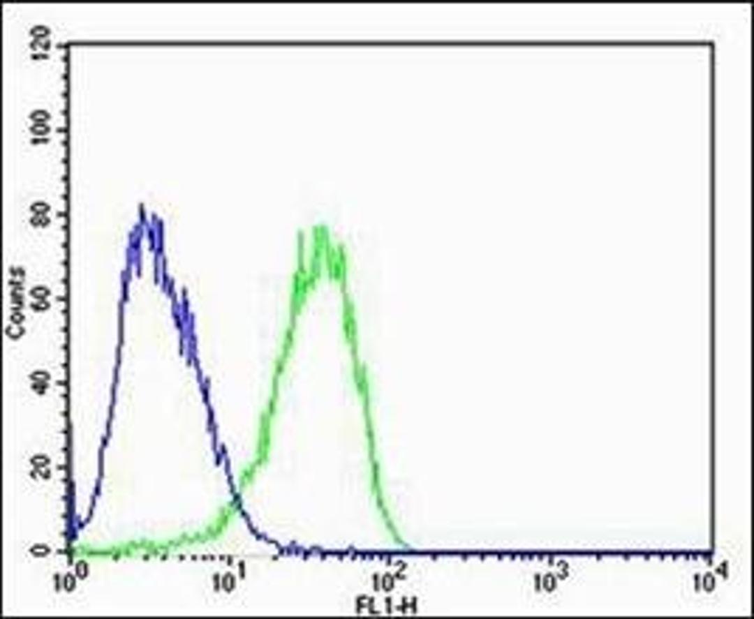 Flow cytometric analysis of U-87 MG cells using CAPN2 antibody (primary antibody dilution at: 1:100)