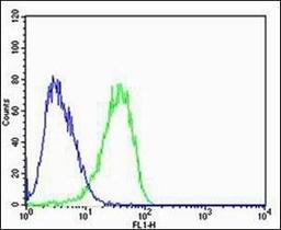 Flow cytometric analysis of U-87 MG cells using CAPN2 antibody (primary antibody dilution at: 1:100)