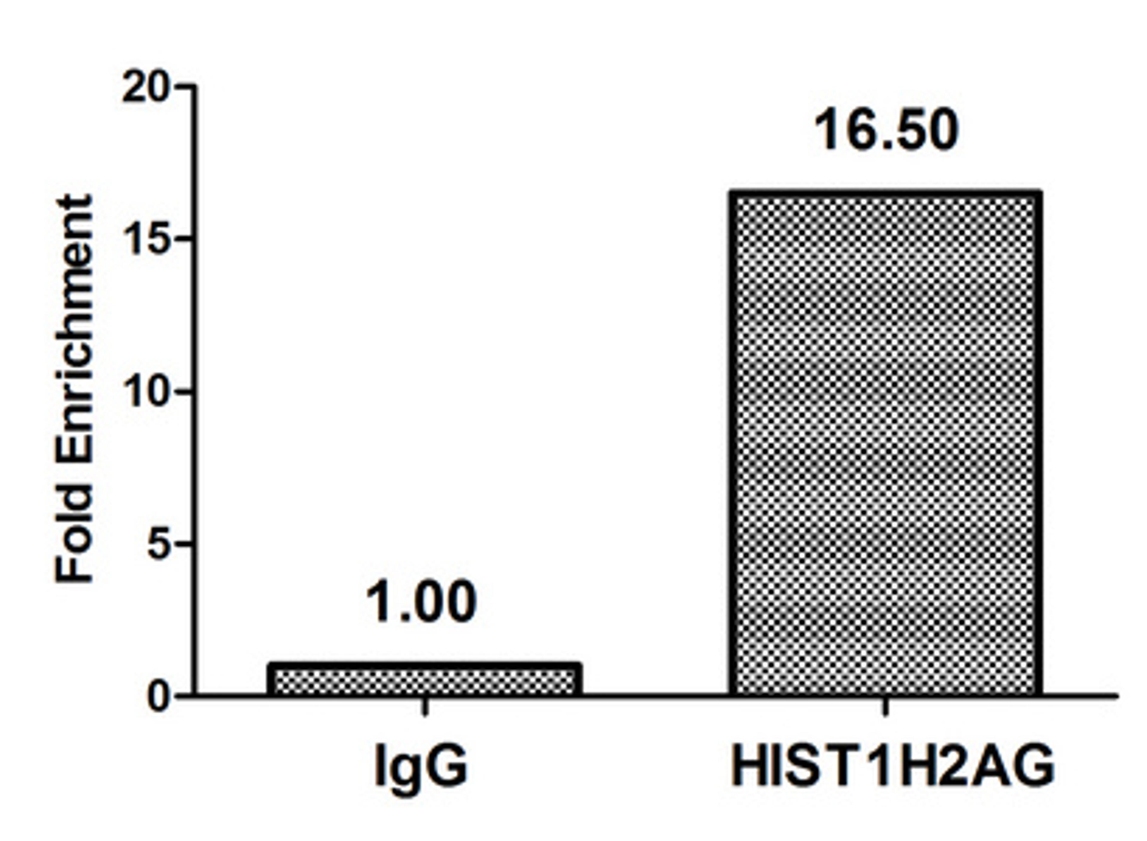 Chromatin Immunoprecipitation Hela (4*10<sup>6</sup>) were treated with Micrococcal Nuclease, sonicated, and immunoprecipitated with 5µg anti-HIST1H2AG (CSB-PA010389OA29me2HU) or a control normal rabbit IgG.The resulting ChIP DNA was quantified using real-time PCR with primers against the β-Globin promoter.