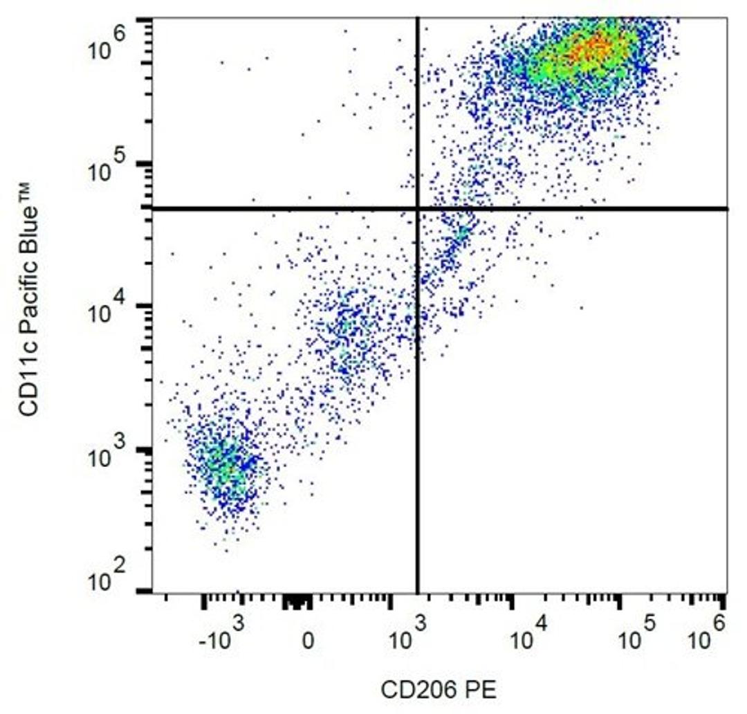 Flow cytometric analysis of human peripheral blood cells using CD206 antibody (PE)