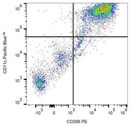 Flow cytometric analysis of human peripheral blood cells using CD206 antibody (PE)