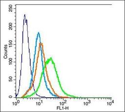 Flow cytometric analysis of H9C2 cell using TREM1 antibody.