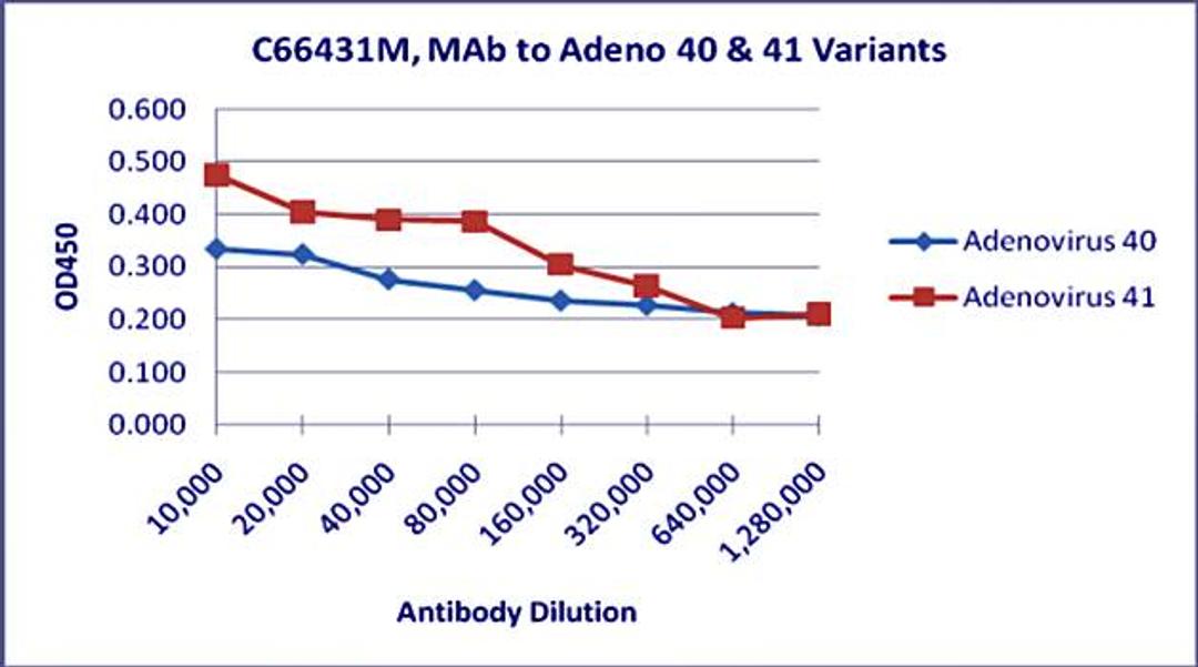 Line graph of ELISA titration illustrates the different absorption levels of Adenovirus 40 & 41 antibody using different dilutions of Mab to 40 & 41 variants