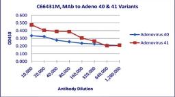 Line graph of ELISA titration illustrates the different absorption levels of Adenovirus 40 & 41 antibody using different dilutions of Mab to 40 & 41 variants