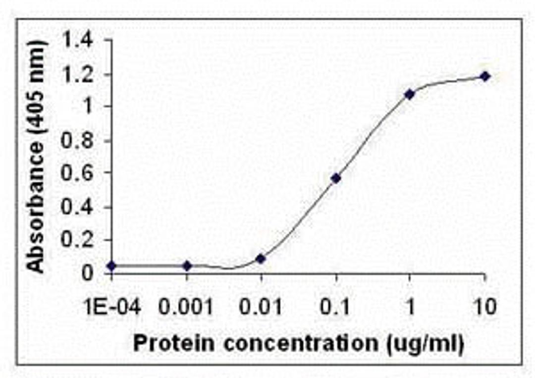 Peptide as test antigen. Affi-pure IgY as primary antibody and Goat anti-IgY-HRP as 2nd antibody. Fixed amount of IgY (0.1ug / mL) and serial dilutions of Ag.