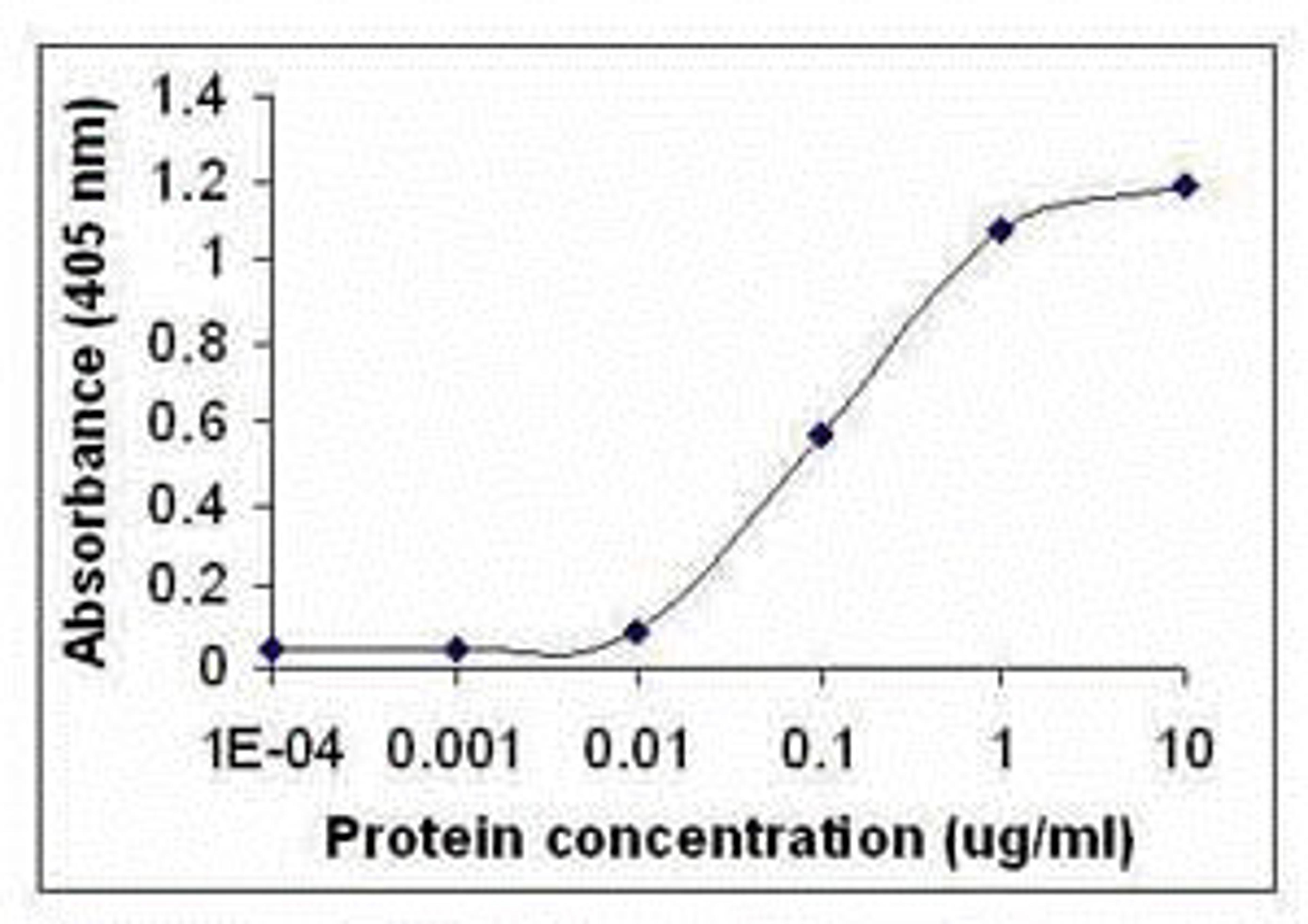 Peptide as test antigen. Affi-pure IgY as primary antibody and Goat anti-IgY-HRP as 2nd antibody. Fixed amount of IgY (0.1ug / mL) and serial dilutions of Ag.