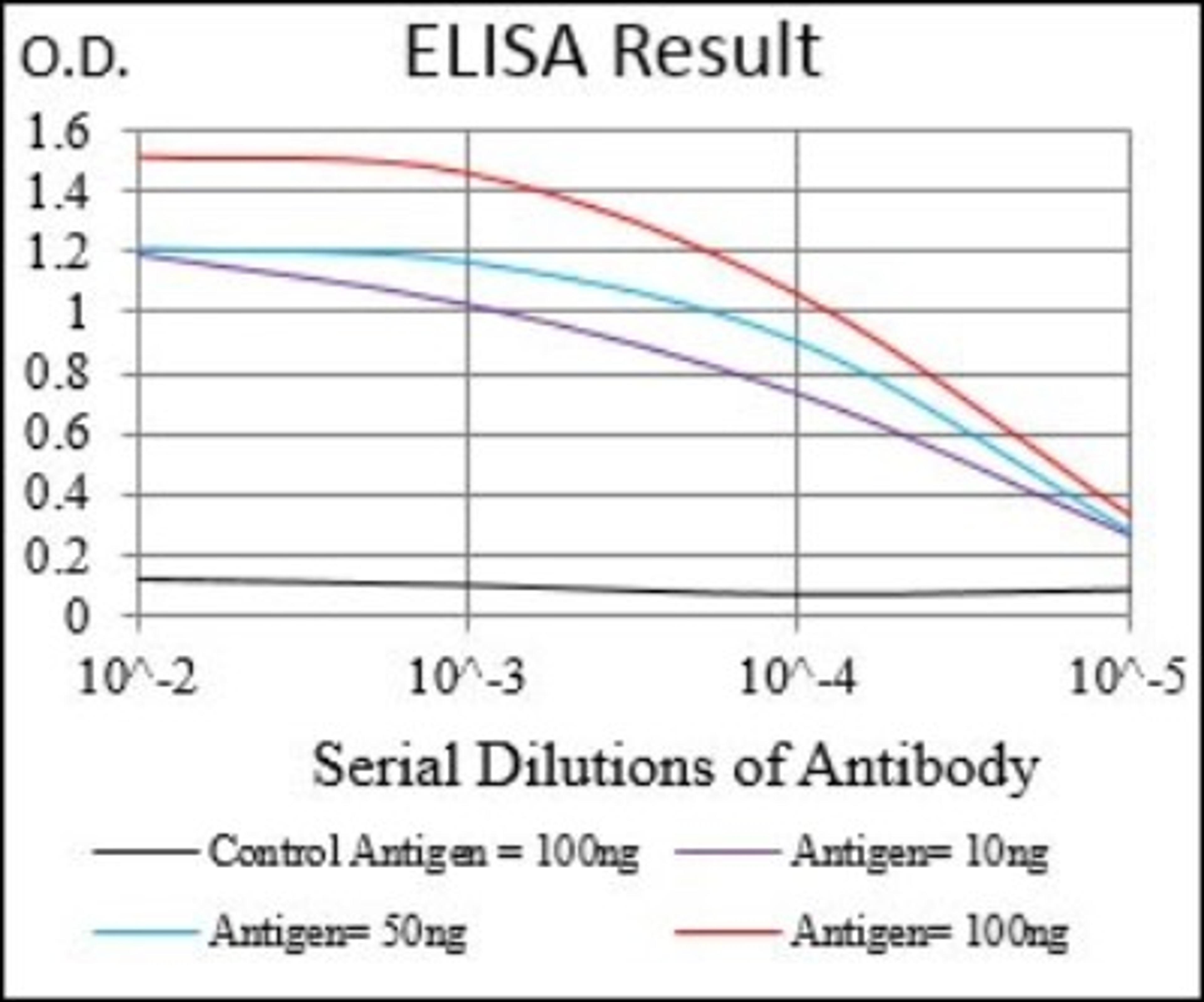 ELISA: CaM Kinase II gamma Antibody (8G10C1) [NBP2-37262] - Red: Control Antigen (100ng); Purple: Antigen (10ng); Green: Antigen (50ng); Blue: Antigen (100ng);