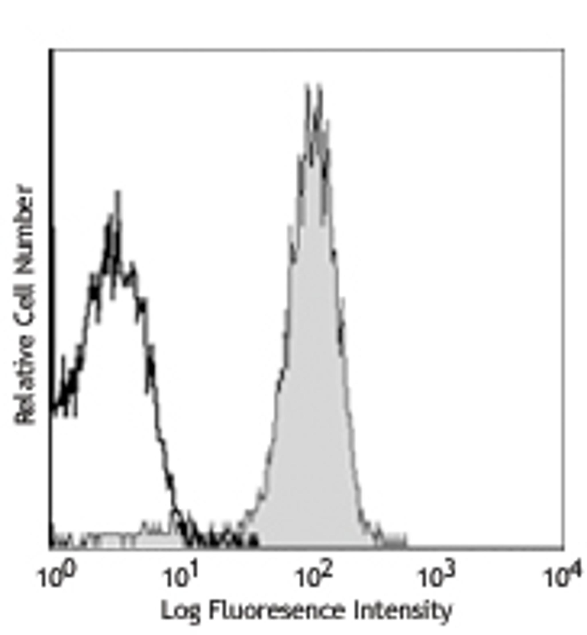 BioLegend | Antibodies