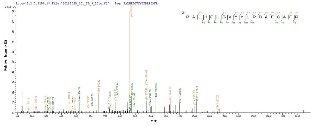 Based on the SEQUEST from database of E.coli host and target protein, the LC-MS/MS Analysis result of CSB-EP677939HU1 could indicate that this peptide derived from E.coli-expressed Homo sapiens (Human) ERFE.
