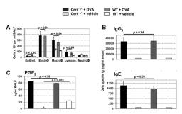 Rat anti Mouse IgE heavy chain antibody, clone LO-ME-3 used for the detection of mouse IgE by ELISA.