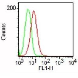 Flow cytometric analysis of NCCIT Cells using PODXL antibody