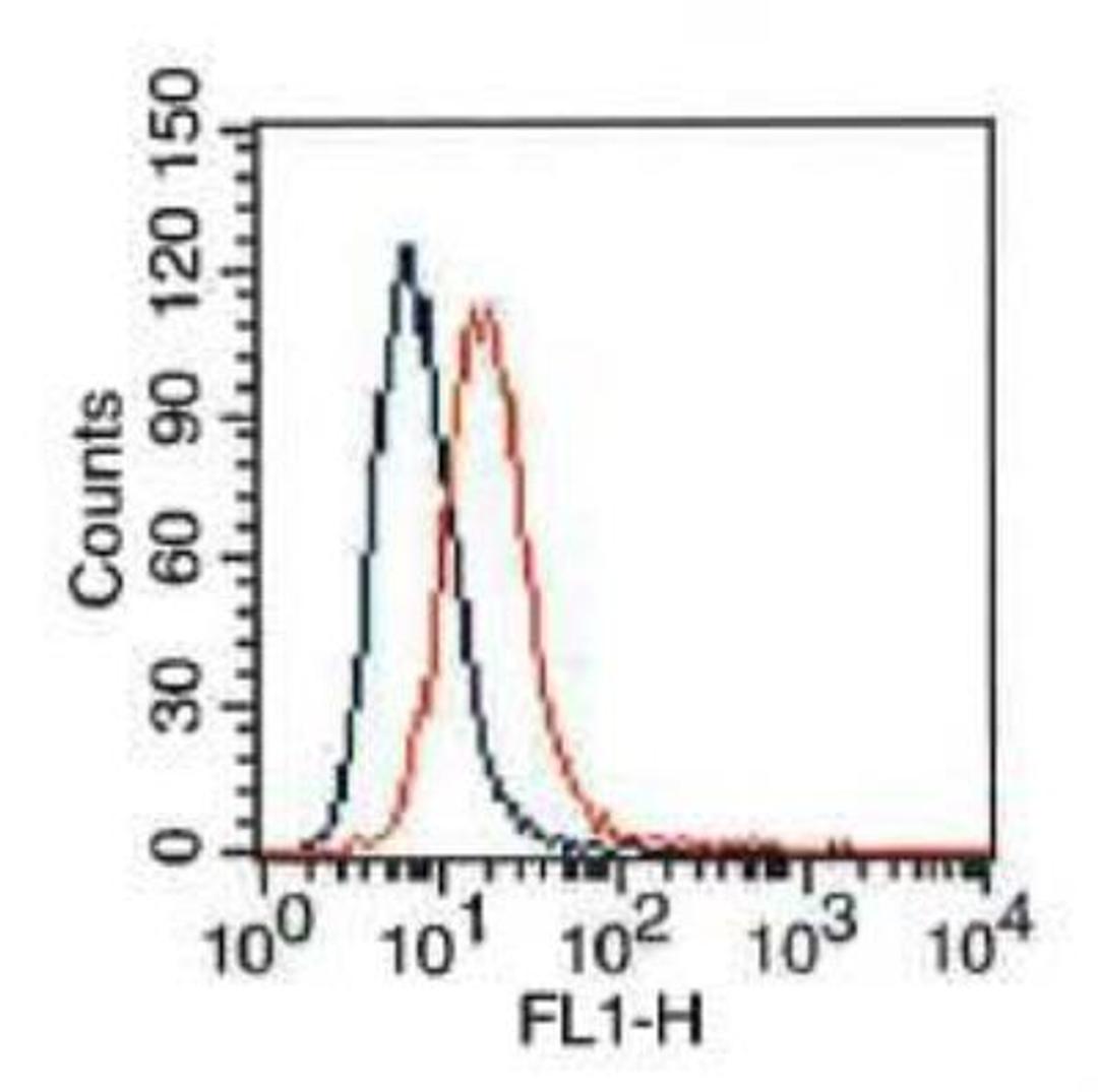 Flow (Cell Surface): VEGF R2/KDR/Flk-1 Antibody (2C6) [NBP2-36429] -  HepG2 cells were stained (surface) with VEGF R2/KDR/Flk-1  antibody (clone: 2D11.2C6; orange) or isotype control (mouse IgG1; blue) and positive staining observed using FITC conjugated mouse anti-IgG(H+L) secondary antibody. Live cells (PPI negative) were gated for analysis