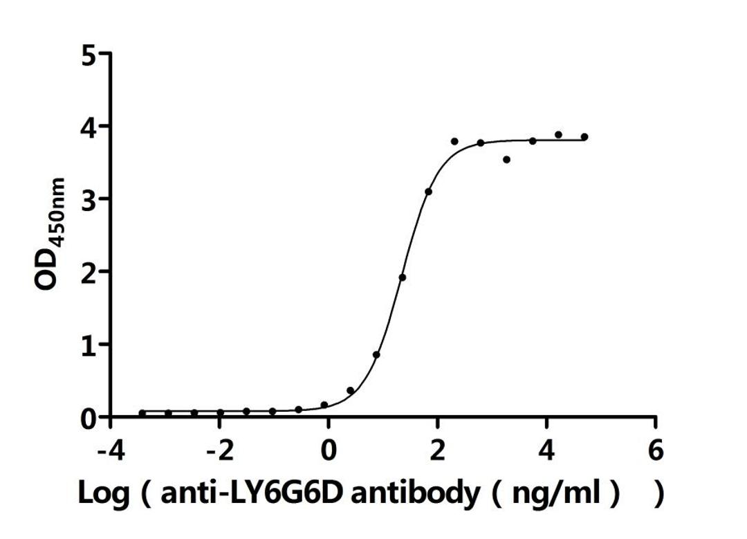 The Binding Activity of Macaca fascicularis LY6G6D with Anti-LY6G6D Recombinant Antibody. Activity: Measured by its binding ability in a functional ELISA. Immobilized Macaca fascicularis LY6G6D (CSB-YP4607MOV) at 2 μg/mL can bind Anti-LY6G6D recombinant antibody. The EC<sub>50</sub> is 19.33-25.47 ng/mL.