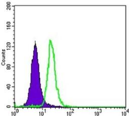 Flow Cytometry: Mammaglobin A Antibody (3C8) [NBP1-51671] - Flow cytometric analysis of SK-BR-3 cells using SCGB2A2 mouse mAb (green) and negative control (purple).