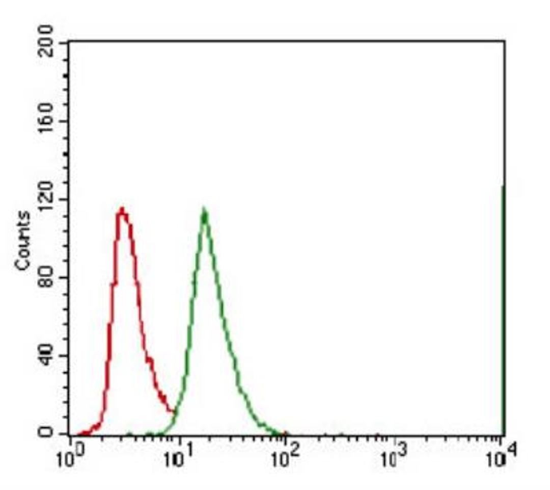 Flow Cytometry: ABCG5 Antibody (1B5E10) [NBP2-23488] - Flow cytometry analysis of A549 cells using ABCG5 mouse mAb (green) and negative control (red).